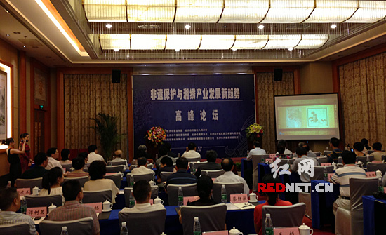 非物质文化遗产保护与湘绣产业发展新趋势的高峰论坛会现场