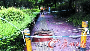 深圳发生今年第9次地陷