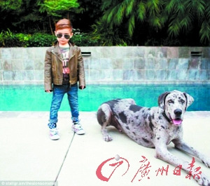 阿朗索不乏名犬与其搭配。