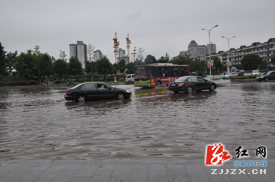 连日暴雨  张家界市城区积水现“看海”场景（组图）