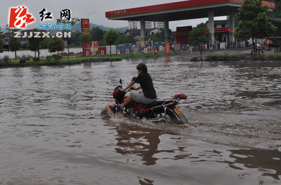 连日暴雨  张家界市城区积水现“看海”场景（组图）