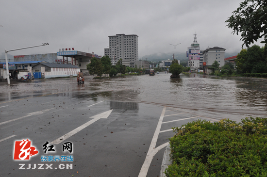 连日暴雨  张家界市城区积水现“看海”场景（组图）