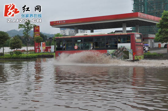 连日暴雨  张家界市城区积水现“看海”场景（组图）