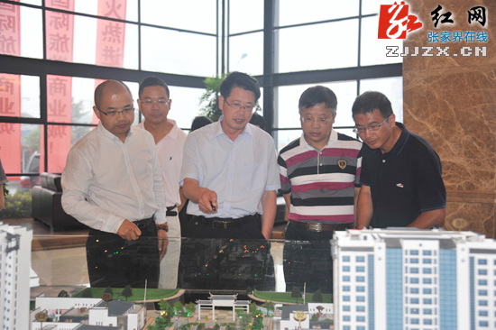 杨光荣调研张家界国际旅游商业城项目建设