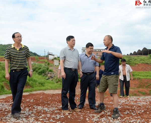 新田县 正文   红网新田站6月28日讯(记者 贺华建)6月27日,新田县委