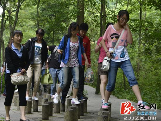 武陵源风景区暑期游人气渐涨
