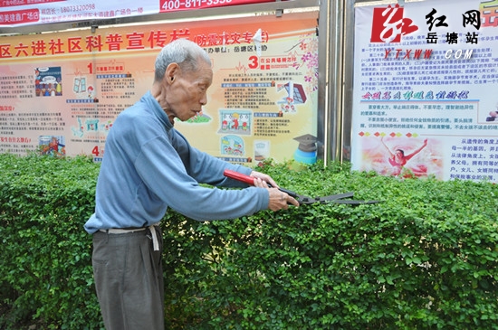 【寻找最美岳塘人】成仁明:一心付出60载 他用奉献书写人生