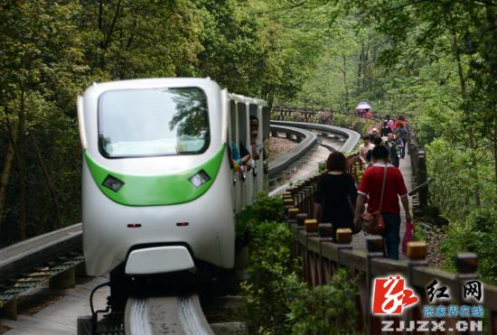上半年13万湘客畅游武陵源 自助游占八成