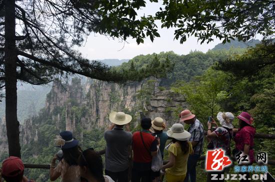 上半年13万湘客畅游武陵源 自助游占八成