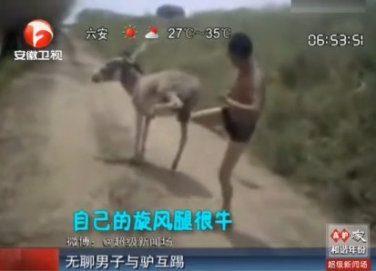 [<em>视频</em>]实拍<em>无聊男子</em>与驴互踢_红网视听_红网