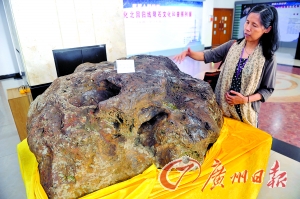 从化陨石爱好者们自己举办陨石科普展。记者邵权达 摄