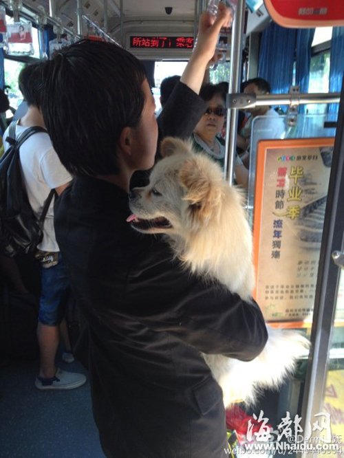 感谢网友“Dermi妩”提供的图片