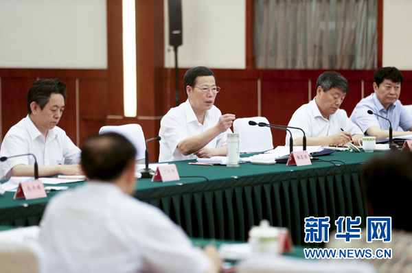 这是7月6日，张高丽在成都主持召开四川、河南、湖北、重庆、甘肃、青海六省市负责人参加的经济形势座谈会。新华社记者丁林摄