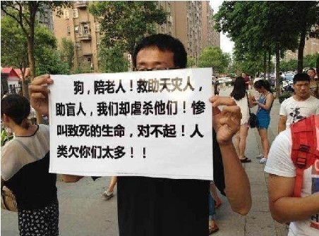 砍狗事件：引发徐州动物保护协会及众多市民现场公愤。
