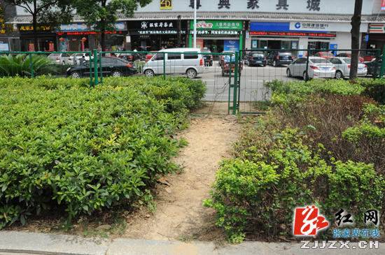 张家界：请文明出行 别再“横行霸道”
