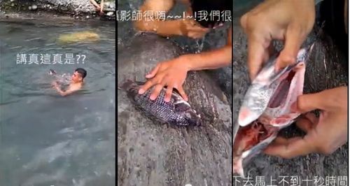 台男孩徒手抓鱼影片爆红 前后不到10秒清理完内脏