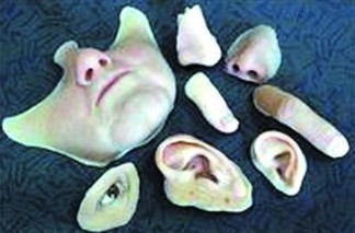 [视频]男子用猪皮自制面具网上学易容术盗窃