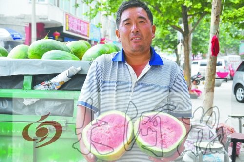 开封瓜农郑州被盗获救助 摘4000斤瓜贱卖感谢