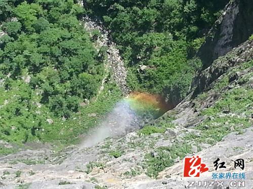张家界天门山寺上空惊现云中佛祖圣像（组图）