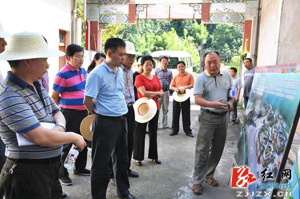 武陵源游客服务中心年内将开建 总投资3.6亿元