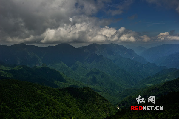 常年云雾缭绕的神农架山脉，高耸3000多米，堪称华中屋脊。