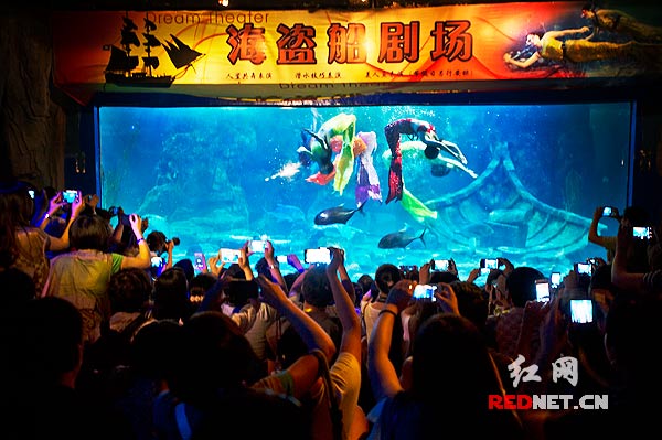 美人鱼表演，是东湖海洋世界里最吸引眼球的节目。