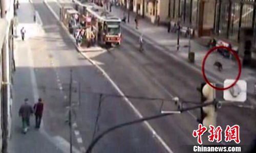 野猪大白天狂窜捷克首都（图）