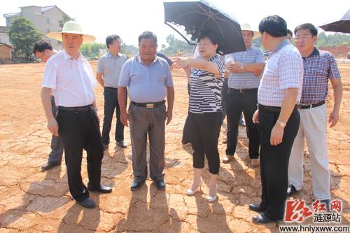 涟源市委副书记,市长谢学龙(前排左三,市委副书记宋建明(左一)在人民