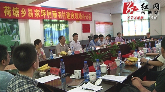 推进易家坪村新农村建设 区领导现场办公
