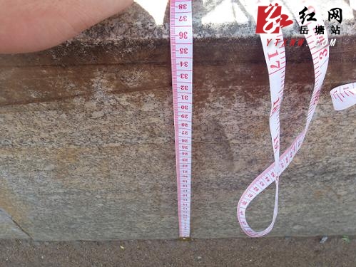 板塘铺沿线公交站台普遍偏高 市民呼吁早日改造