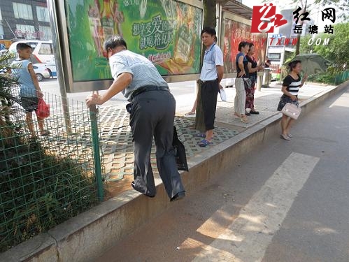 板塘铺沿线公交站台普遍偏高 市民呼吁早日改造