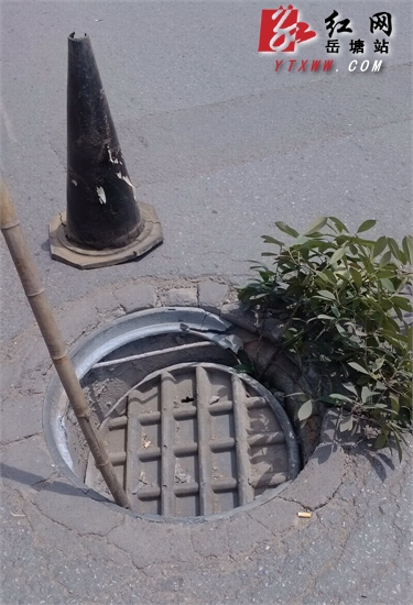 板塘铺货运东站公交站旁一下水道井盖损坏 市民盼修复