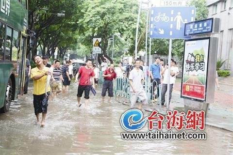 哈哈哈，终于抓到了 新华社图