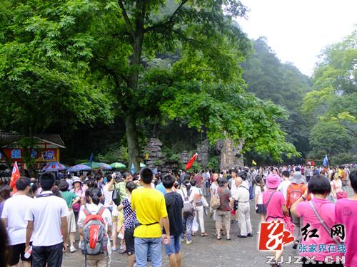 激情夏日 清爽张家界等你来