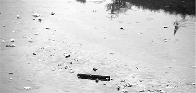 南水北调渠内的脏水