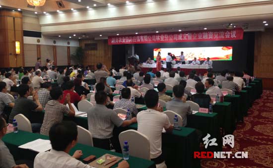 湖南农业信用担保有限公司林业分公司在长沙成立，重点服务对象为省内林业龙头企业。