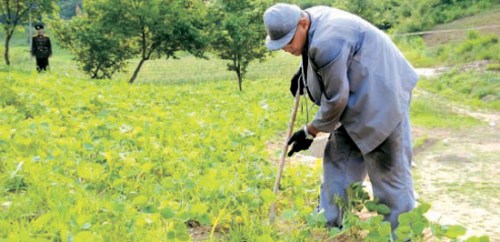 在朝劳教美国人向家人寄信求救称健康恶化（图）