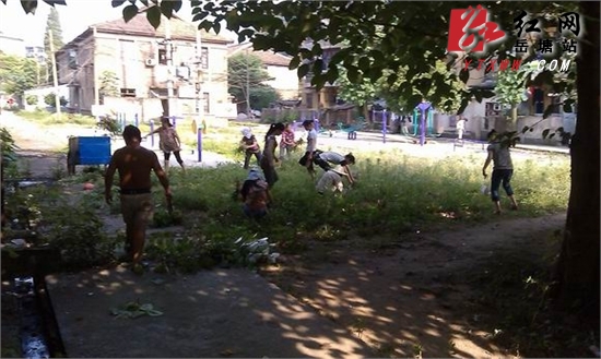 下摄司街道迎东社区开展集中清除杂草行动