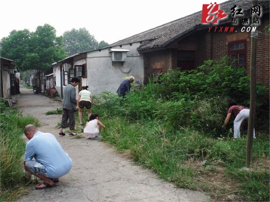 下摄司街道迎东社区开展集中清除杂草行动