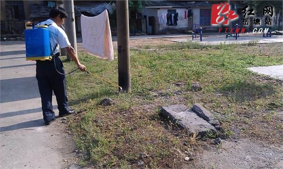 下摄司街道迎东社区开展集中清除杂草行动