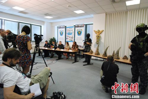 捷克破获该国最大白犀牛角走私案逮捕16人（图）