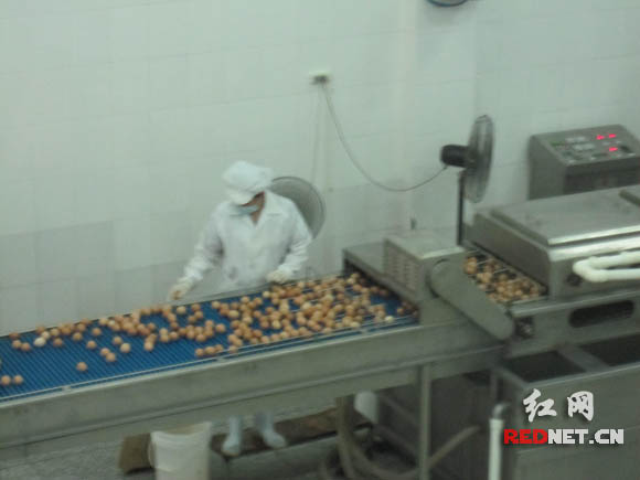 网媒走进中国农谷:深加工让鸡蛋价值增5倍