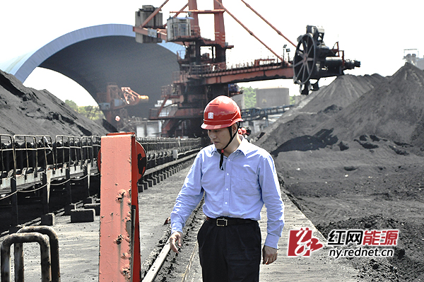 湘潭发电公司总经理夏柏龙在煤场视察。