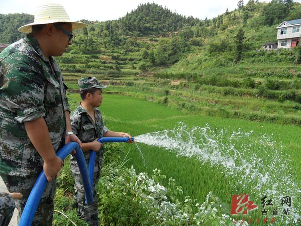 吉首市双塘镇打响抗旱战役