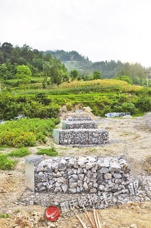 58名大学生为解村民过河难 7天搭起一座桥(图)