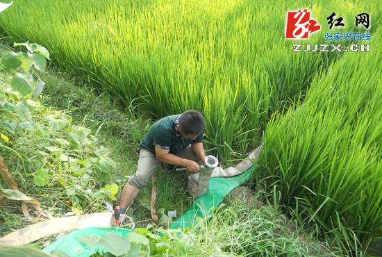 张家界永定区：天干人心润 奋力斗旱魔