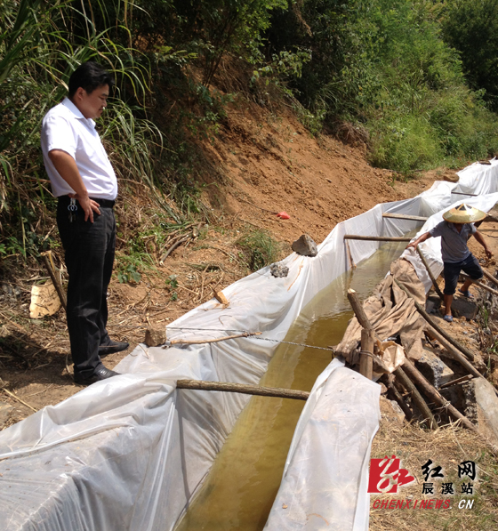 辰溪县辰阳镇:千方百计做好抗旱工作
