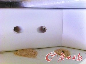 顾客购8万元家具半年即现蛀虫 商家称休想退款