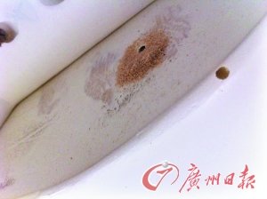 顾客购8万元家具半年即现蛀虫 商家称休想退款