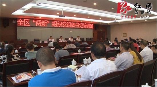 加强党建工作 岳塘区“两新”组织党组织书记培训班开班